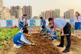 劳动课回归！教育部要求中小学生会“煮饭”，家长：建议在校完成图片