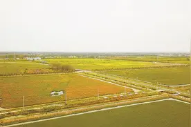 江苏建湖高作镇：富民兴村蹚新路 全域土地综合整治探究图片