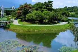 东莞植物园：为“美好东莞”添加了很多色彩图片
