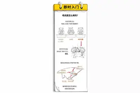 老虎是海王？虎皮是绿色？不懂真相，怎么过好虎年？图片