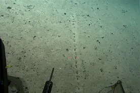 科学家在大西洋海底，发现整齐的奇怪孔洞！是史前文明留下的吗？图片
