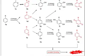 药物设计│苯环的电子等排体：先导优化和最新战略应用——背景图片