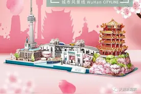 武汉人真这么牛？“武汉任何一位干部都强过欧美总理？”图片