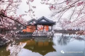 《大家》推荐 ‖ 严维佳 樱 花 落图片