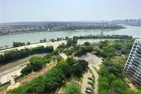 “新埠岛这2座桥啥时开建？”海口市资规局：尚未列入政府投资计划图片