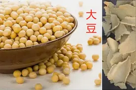 科技与狠活系列3：脱脂大豆，真的有害吗？图片