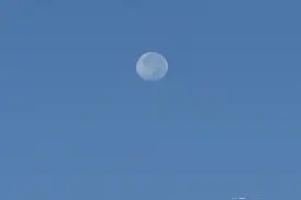「辨字专栏」𠅤、葸、崽图片