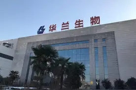 华兰生物去年净利下滑近2成，三位高管离职、盘中股价接近跌停图片