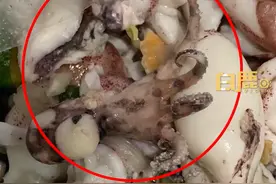 女子称在海鲜市场买到蓝环章鱼，当事人：煮熟捞起时才发现不对，最后将整锅海鲜倒掉了图片