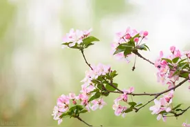 一个51岁女人的倾诉：退休后，为了寻找自己的圈子，我的两点感悟图片