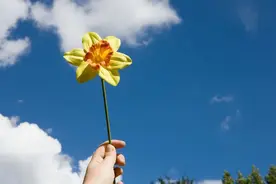 《晚熟的人》：真正的人间清醒，在于守住节奏图片