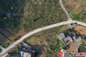 “十大功劳”建功！凤山首批6吨道地药材产品运往国际集散中心图片