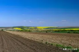 耕地非农化非粮化是什么意思？非农化非粮化九种情形介绍图片
