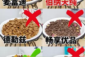 6大狗粮测评！千万别选毒粮了图片
