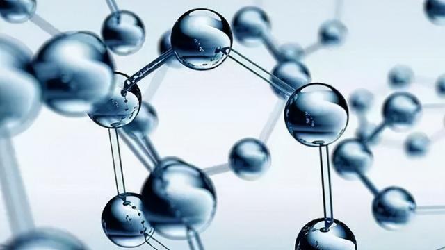 蛹虫草蛋白肽的作用 2026年蛹虫草蛋白肽的作用是什么