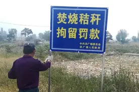 秸秆还田，是利是弊？这样“利国利民”的好事，为什么推广不开？图片