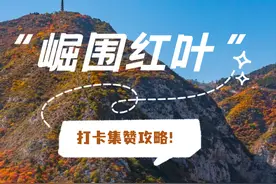 出彩尖草坪丨连续三天！免费！“崛围红叶”打卡集赞攻略来了~图片