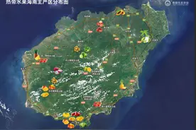 海南省各市县，代表性水果。图片