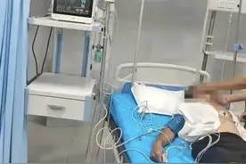 云南男子以身试毒，3 次煮食附子 3 次中毒，为何如此执着？图片