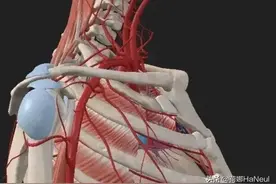 洛阳剪刀惨案：死者剪刀位置曝光，妻子全程刷手机，父母悲痛欲绝图片