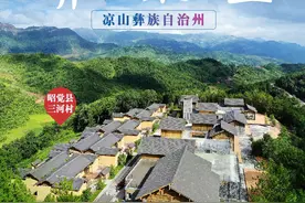 「我在乡村看见中国②」全国最大彝族聚居区的“青”力量图片