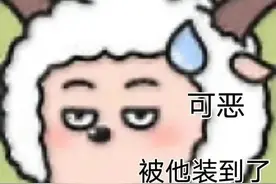 表情包：可恶，被他装到了图片