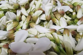 心脑血管、痴疮便血的朋友看过来！天然又有效的时令食物在这里图片