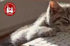 有人@你，@到底怎么读？说“艾特”老外可听不懂哦图片