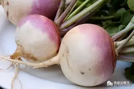 老韩讲了一个故事：蔓菁图片