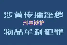 【涉黄淫秽物品案律师】贩卖卡密情节特别严重之上诉辩护（十九）图片