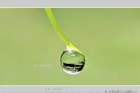 聊手机摄影（17）手机微距摄影，有意识地选择近距离拍摄很重要图片