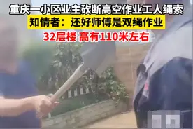 胆大妄为！业主砍断高空作业绳索，32层110米高楼！后续已和解图片