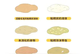 猫咪呕吐的六种情况图片