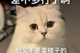 表情包：差不多行了啊，我又不是卖梯子的，哪有那么多台阶给你下图片