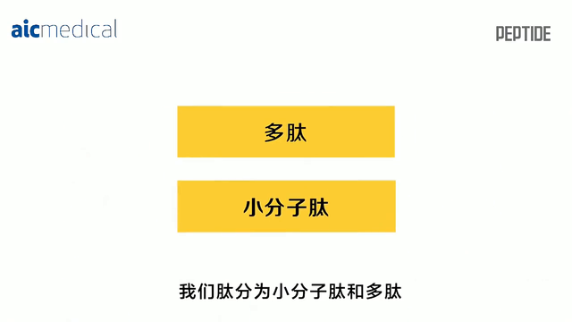 肽能有什么作用 2026年肽能起到什么作用