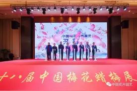第十八届中国梅花蜡梅展览会在浙江长兴开幕 | 动态图片