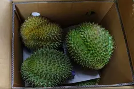 泰国榴莲大量运抵！挑选指南收好图片