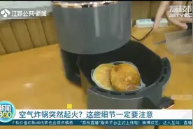 空气炸锅突然起火？这些细节一定要注意图片
