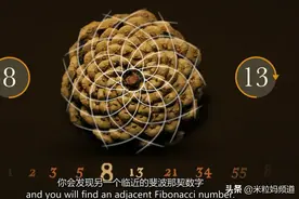 孩子对数学没兴趣？这几部高分数学纪录片孩子抢着看图片