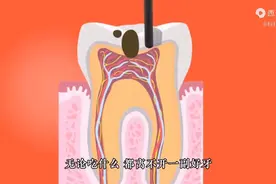 No. 06 为什么人类一生只能换一次牙？｜科普图片