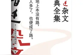 《鲁迅杂文经典全集》：一代文学巨匠的心声和呐喊图片