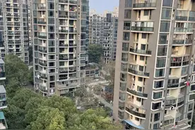 宝山大华社区，命运不在自己手上图片