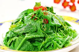 秋天多吃叶菜好，3种叶菜做法，清淡少油营养高，老少皆爱吃图片