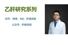 梁韬：乙肝表面抗原HBsAg（3.9版）图片
