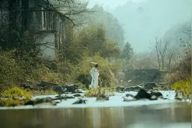 看完《长安的荔枝》顿悟：老实人的出路，到底在哪儿图片
