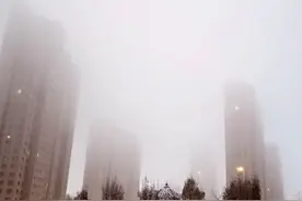 雪后今晨 乌鲁木齐市“晴雾两重天”图片