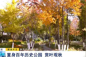秋天的胜利公园：置身百年历史公园 赏叶观秋图片