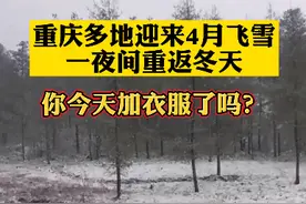 重庆4月多地迎来大雪图片