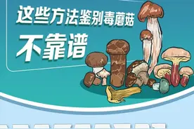 这些方法鉴别菌子有没有毒？不靠谱！图片