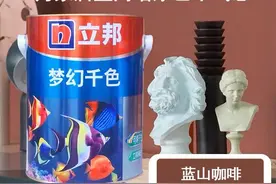 立邦乳胶漆怎么选？看这一篇就够了图片